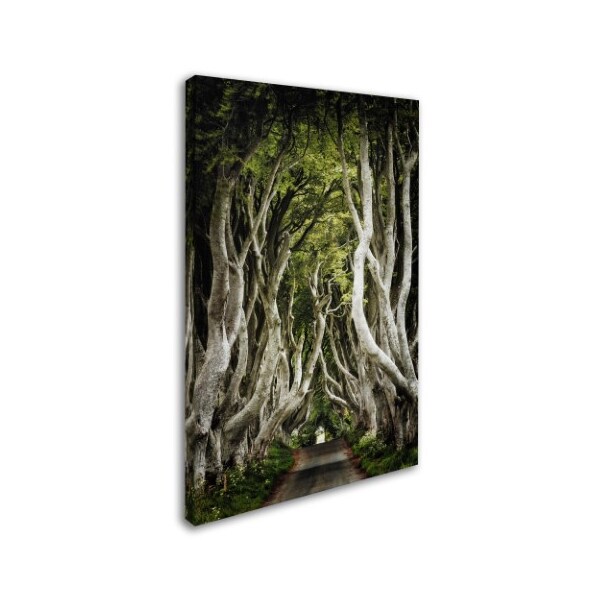 Trademark Fine Art Philippe Sainte-Laudy 'Romantic Avenue' Canvas Art, 12x19 - PSL0566-C1219GG