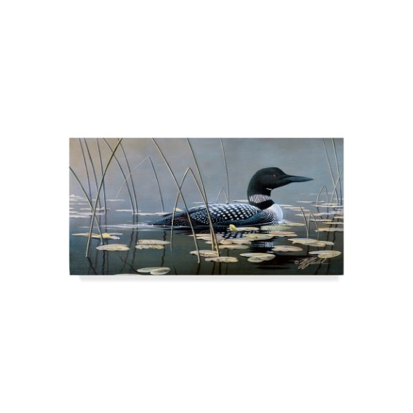 Trademark Fine Art Wilhelm Goebel 'Loon In Reeds' Canvas Art, 16x32 - ALI33672-C1632GG