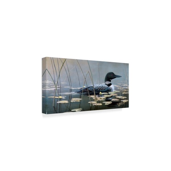 Trademark Fine Art Wilhelm Goebel 'Loon In Reeds' Canvas Art, 16x32 - ALI33672-C1632GG