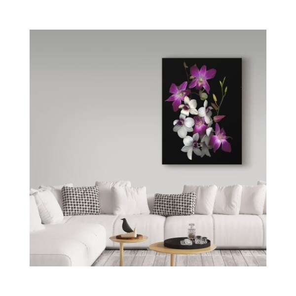 Trademark Fine Art Susan S. Barmon 'Dendrobium Orchids' Canvas Art, 35x47 - ALI34491-C3547GG