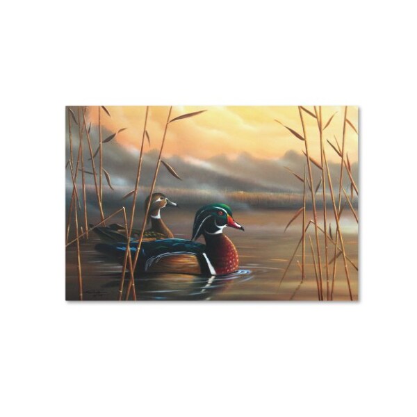 Trademark Fine Art Geno Peoples 'Wood Ducks' Canvas Art, 12x19 - ALI19568-C1219GG