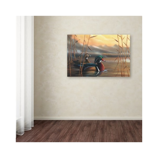 Trademark Fine Art Geno Peoples 'Wood Ducks' Canvas Art, 12x19 - ALI19568-C1219GG
