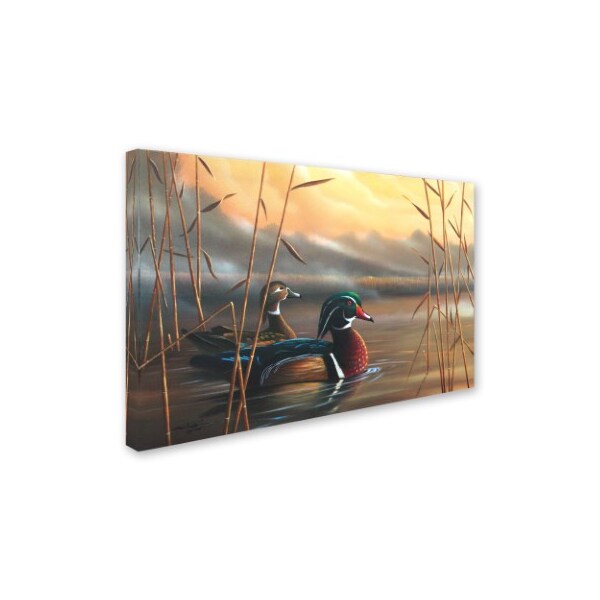 Trademark Fine Art Geno Peoples 'Wood Ducks' Canvas Art, 12x19 - ALI19568-C1219GG