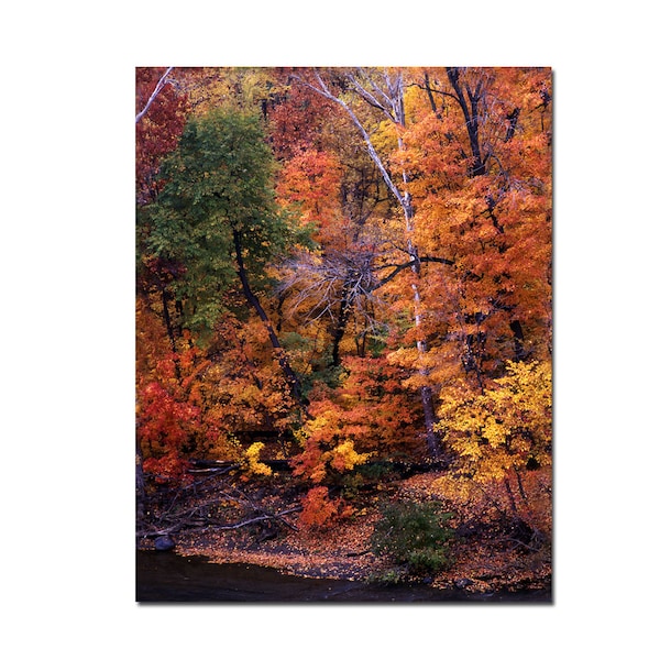 Trademark Fine Art I love Autumn by Kurt Shaffer-Gallery Wrapped 18x24, 18x24 - KS314-C1824GG