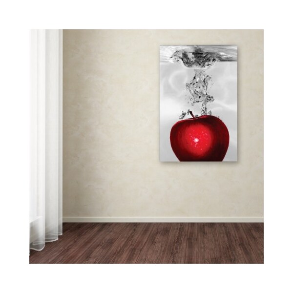 Trademark Fine Art Roderick Stevens 'Red Apple Splash' Canvas Art, 22x32 - RS012-C2232GG