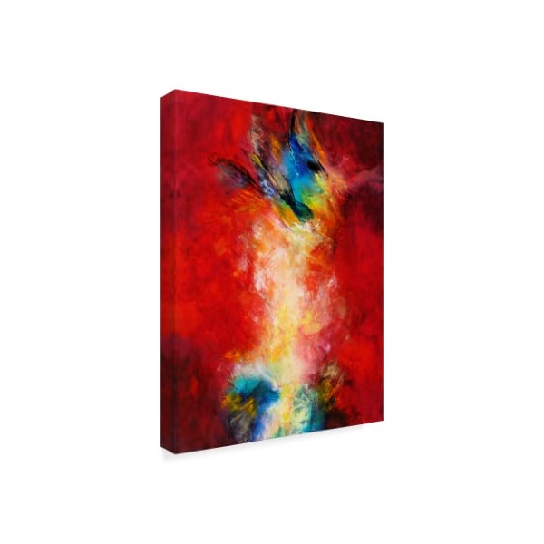 Trademark Fine Art Aleta Pippin 'Light Connection' Canvas Art, 35x47 - ALI37759-C3547GG