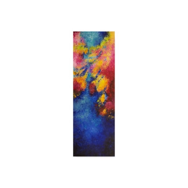 Trademark Fine Art Aleta Pippin 'Aerial View' Canvas Art, 16x47 - ALI37771-C1647GG