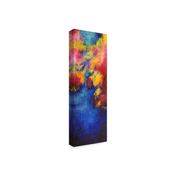 Trademark Fine Art Aleta Pippin 'Aerial View' Canvas Art, 16x47 - ALI37771-C1647GG