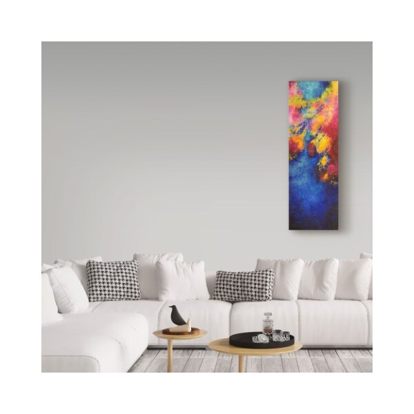Trademark Fine Art Aleta Pippin 'Aerial View' Canvas Art, 16x47 - ALI37771-C1647GG