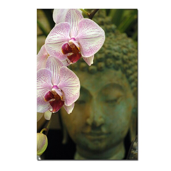 Trademark Fine Art Orchids and Buddha by Kurt Shaffer-Gallery Wrapped 16x24, 16x24 - KS321-C1624GG