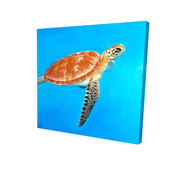 Fondo 16 x 16 in. Green Aquatic Turtle-Print on Canvas - FO2793478