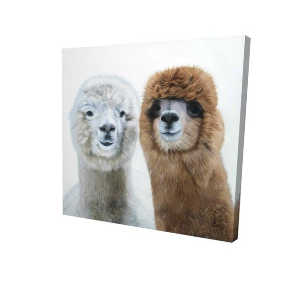 Fondo 32 x 32 in. Two Lamas-Print on Canvas - FO2790958