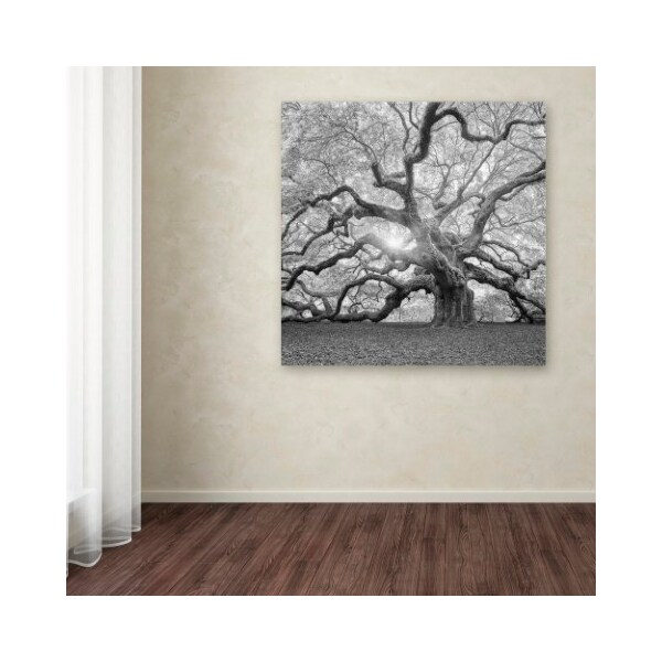 Trademark Fine Art Moises Levy 'The Tree Square-BW 2' Canvas Art, 18x18 - ALI6050-C1818GG