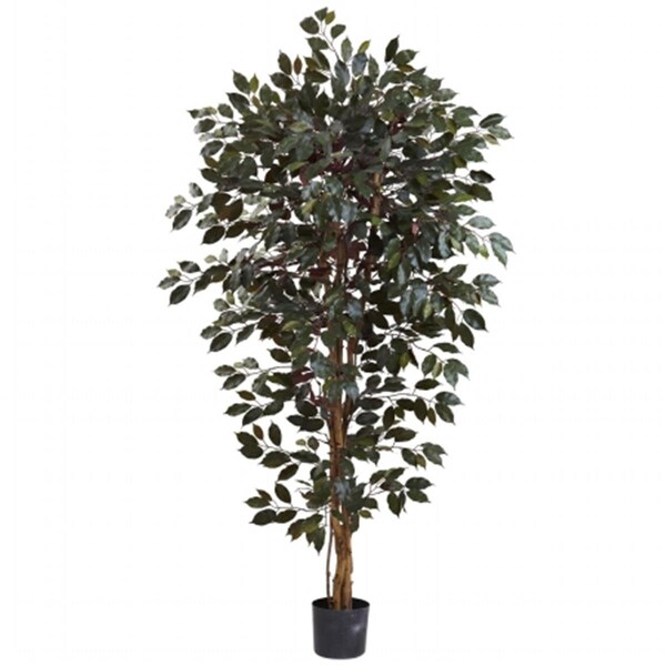 Nearly Natural 6 ft. Capensia Ficus Tree x3 With 1008 Leaves - 5436