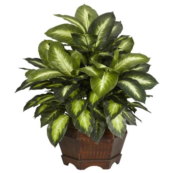 Nearly Natural Silk Golden Dieffenbachia Silk Plant - 6639