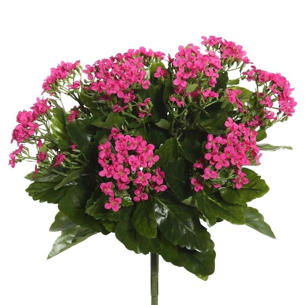 Dare2Decor 15.5 in.Hot Pink Kalanchoe Bush - DA1236106