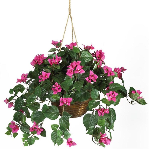 Dare2Decor Bougainvillea Silk Hanging Basket- Beauty - DA103029