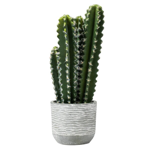 Vickerman 17 in. Green Aloe in Concrete Pot - FH181201