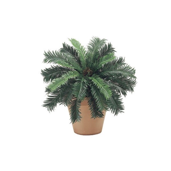 Allstate Floreal PBP025- 22 in. Cycas Palm Bush X25; 6 Each - PBP025-