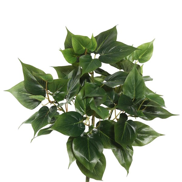 Vickerman 20 in. Philo Bush X6 with 66 Leaves - Green - FB171601