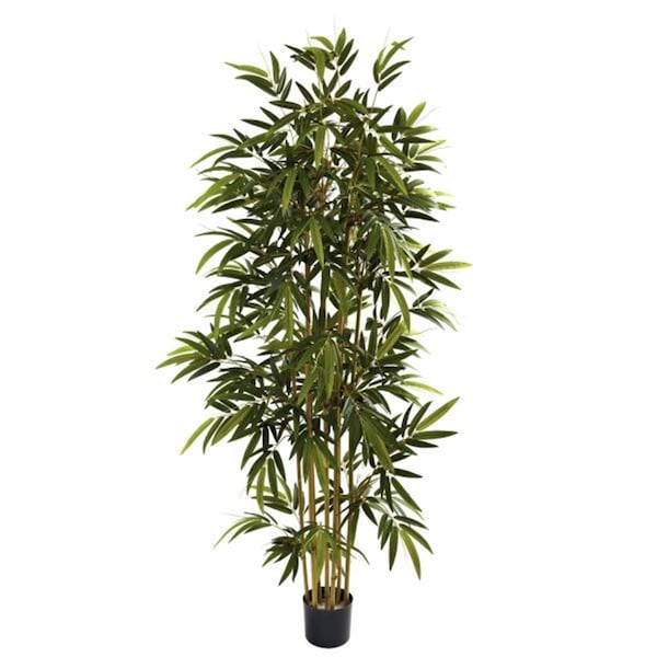 Dare2Decor 6 ft. Bamboo Tree - DA420852