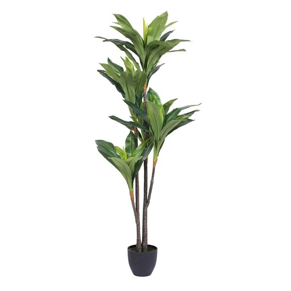 Vickerman Real Touch Dracaena X5 Everyday Tree with 68 LVS in - 60 in. - T160965