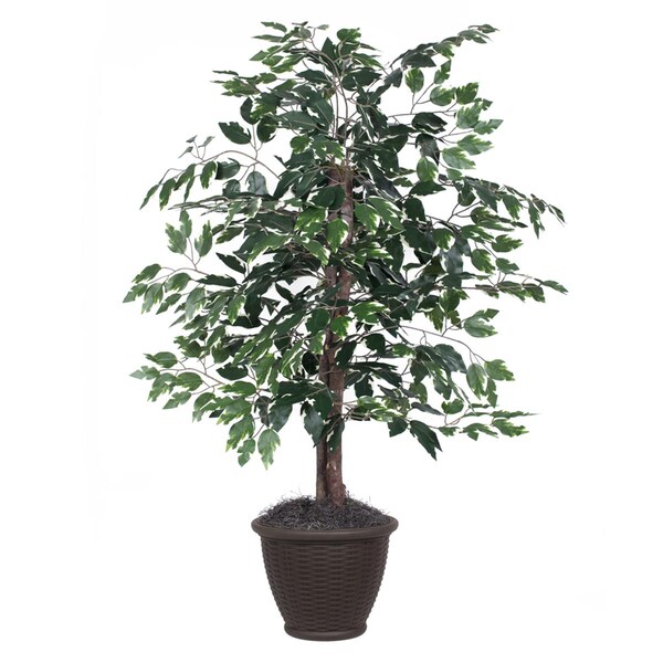 Dare2Decor 4 ft. Variegated Ficus Bush in Container Decorative Plant, Green & White - DA3254990