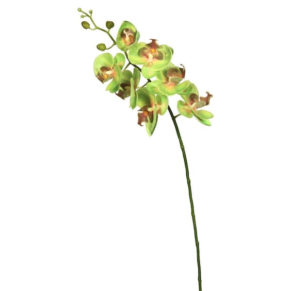 Dare2Decor Real Touch Orchid-7 Heads Floral Stem, Green - DA591042