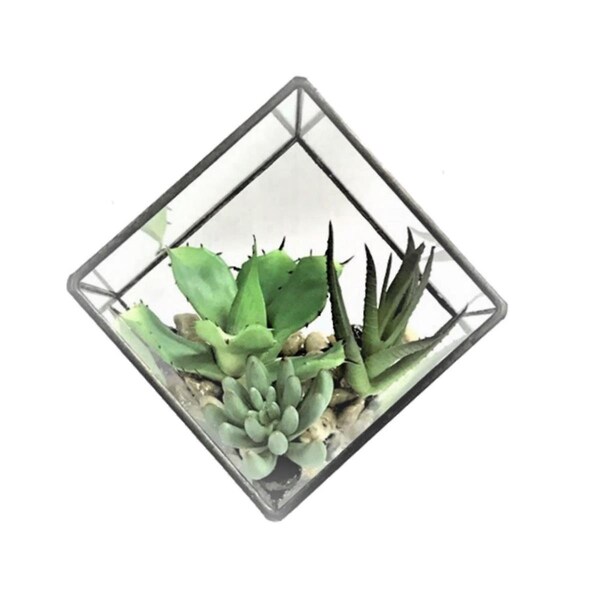 Vickerman 5.5 in. Green Succulents Diamond Terrarium - FM181101