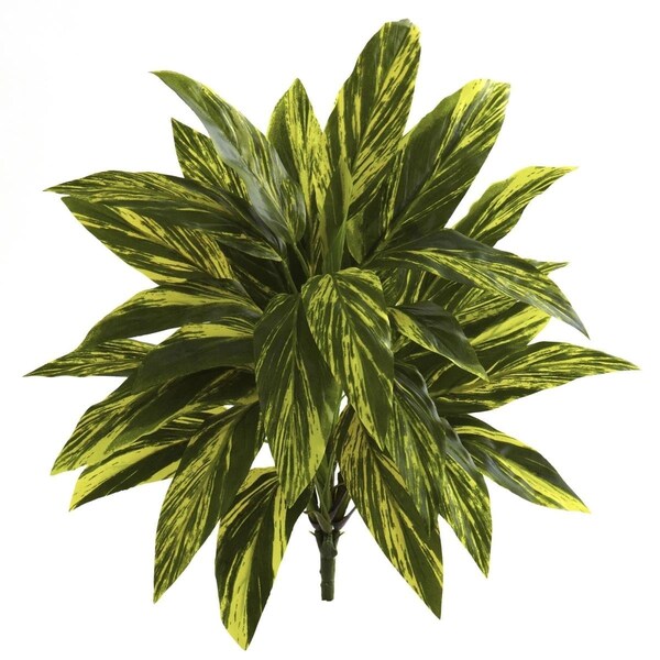 Dare2Decor 19 in. Tradescantia Artificial Plant - Set of 6 - DA3075206