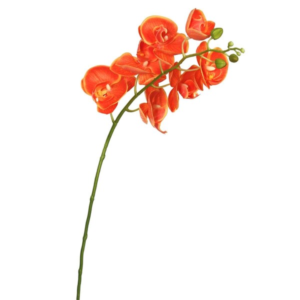 Dare2Decor Real Touch Orchid-7 Heads Floral StemOrange - DA591033