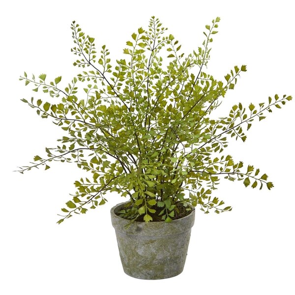 Dare2Decor Maiden Hair Artificial Plant in Decorative Planter - DA3087394