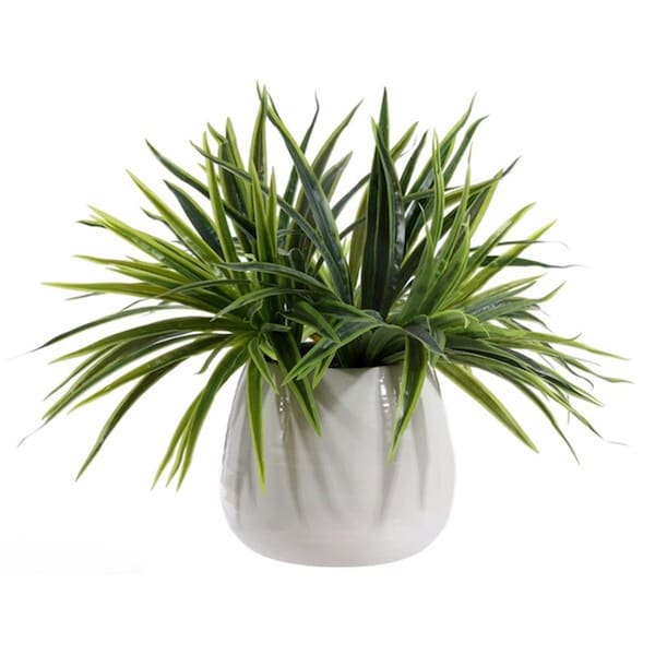 Safavieh Faux Orchid Potted Plant, White - FXP1012A
