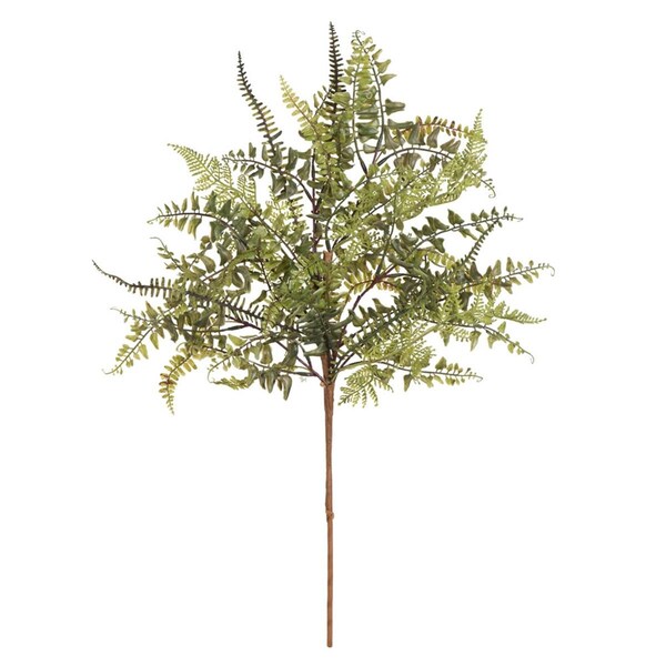 Vickerman 27 in. Green Fern Spray - FQ181001