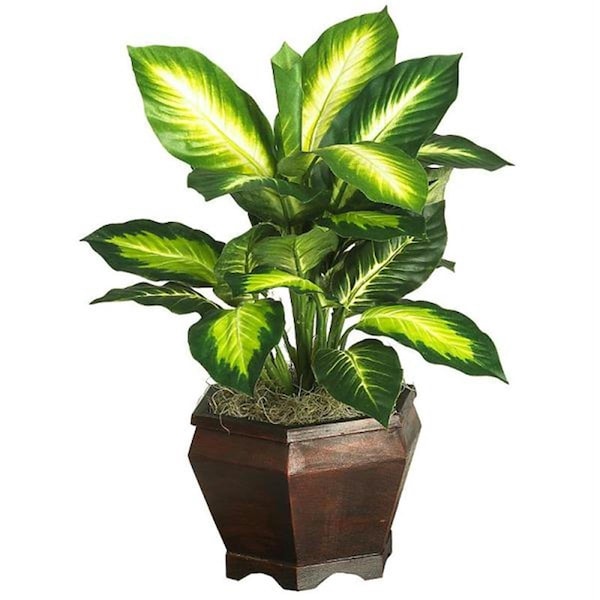 Nearly Natural Golden Dieffenbachia with Wood Vase Silk Plnat - 6592-0507