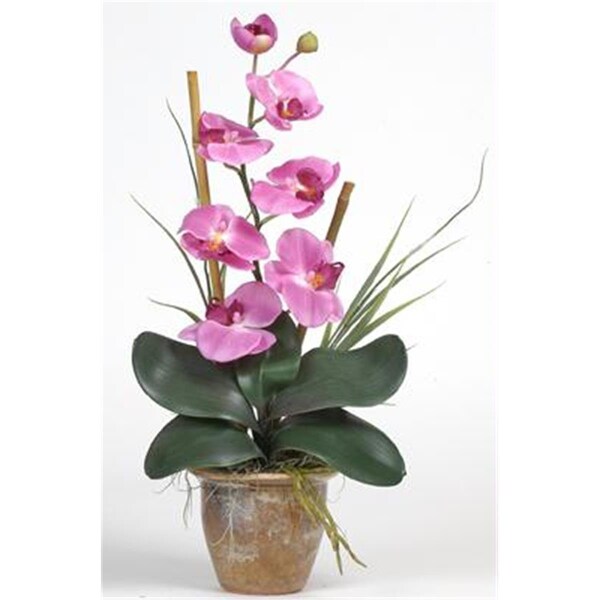 Nearly Natural Single Stem Phalaenopsis Silk Orchid Arrangement - 1016-MA