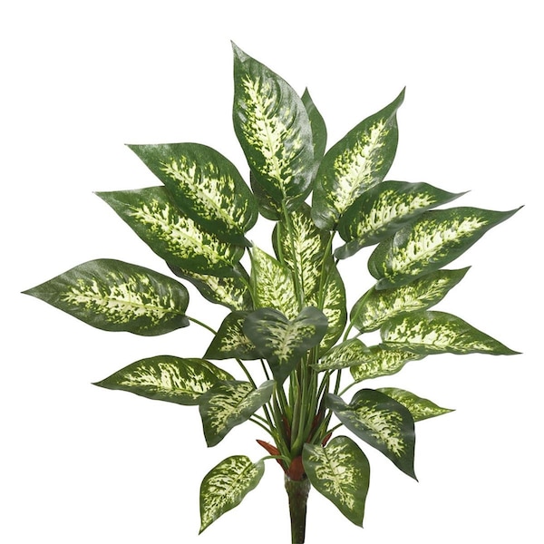 Vickerman 22 in. Artificial Green & White Dieffenbachia Exotica Bush, 96PK - FB172101