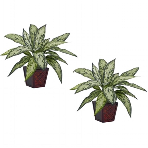Nearly Natural Silver Queen Silk Plant -Set of 2, 2PK - 6694-S2
