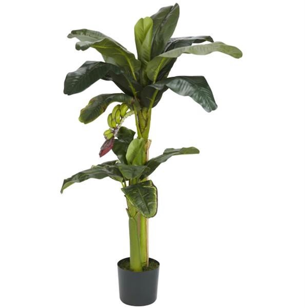 Dare2Decor Silk 5 ft. Plus 3 ft. Banana Silk Tree with Bananas - DA103102