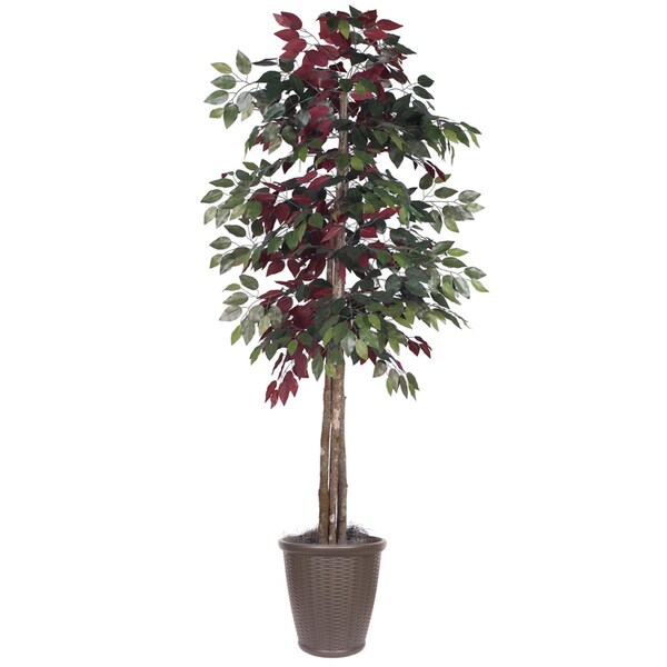Dare2Decor 6 ft. Capensia Deluxe Round Brown Container Decorative Plant, Green & Red - DA3269821