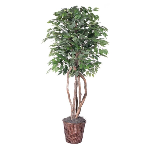 Vickerman Frosted Maple Executive Everyday Tree in Rattan Container - 6 ft. - TEX1760