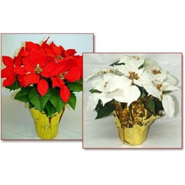 Manmade 6 in. pot Red Silk Poinsettias; MIN 12 - MA2540753
