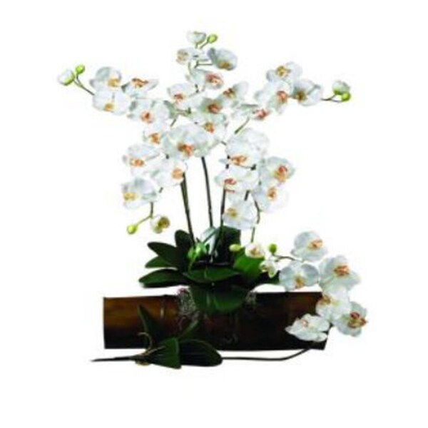 Nearly Natural 31.5 in. H Cream Phalaenopsis Stem - Pack of 12 - 2044-CR-12