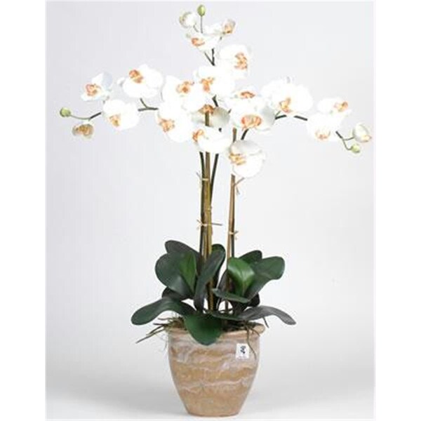 Nearly Natural Triple Stem Phalaenopsis Silk Orchid Arrangement - 1017-CR