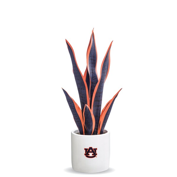 Forever Leaf Auburn Faux Snake Plant w/Ceramic Pot - FL05109AUB