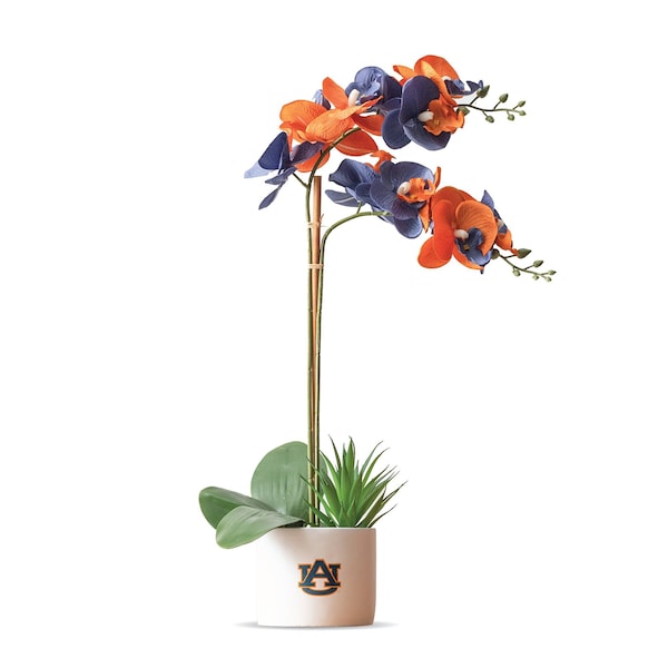 Forever Leaf Auburn Faux Orchid Plant w/Ceramic Pot - FL05111AUB