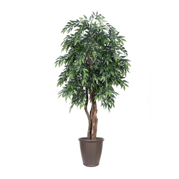 Dare2Decor 6 ft. Smilax Executive Tree - Round Brown Container, Green - DA3256477