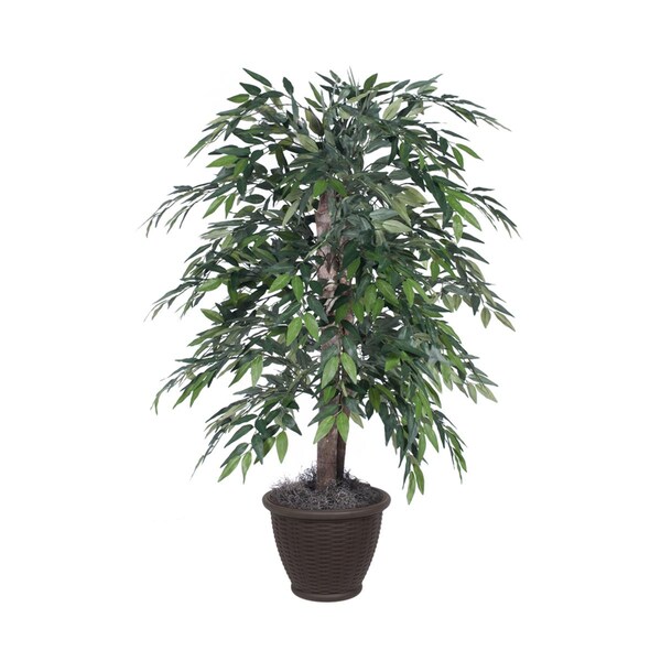 Dare2Decor 4 ft. Smilax Bush in Plastic Container Decorative Plant, Dark Green - DA3259047