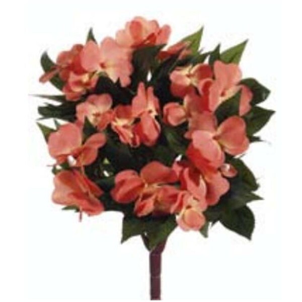 Allstate 13.7 in. Guinea Impatiens Bushes Salmon-, 6PK - FBI633-SA