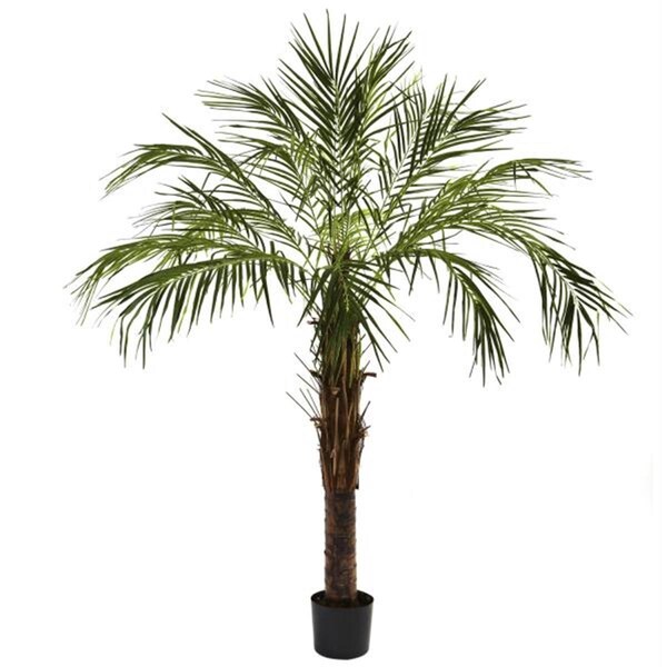 Nearly Natural 6 and rsquo; Robellini Palm Tree - 5366